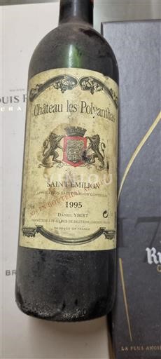 Bordeaux Saint-Émilion Château Les Polyantahs 1995
