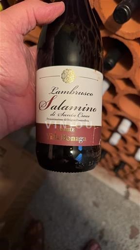Emilia-Romagna Wines Unspecified Villa Bonaga 2019