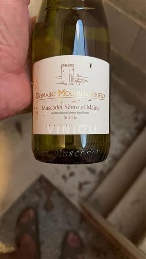 Loiredalen Muscadet-Sèvre-et-Maine Domaine Moulin de Serjeux 2021