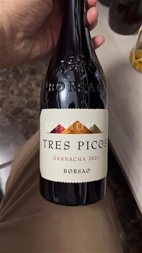 Aragon Campo de Borja Borsao Tres Picos 2021