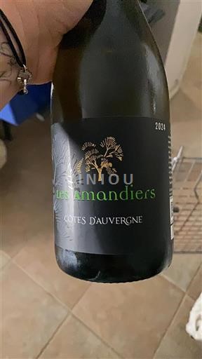 Thung lũng sông Loire Côtes-d'auvergne Les Amandiers 2024
