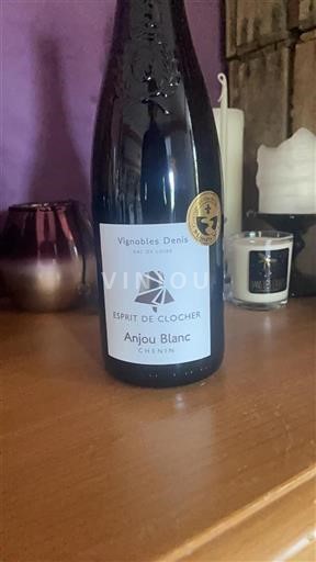 Valle della Loira Anjou Vignobles Denis Esprit de Clocher Senza annata