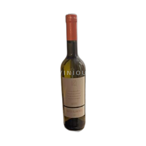 Liège Vins de Liège Vin de Liège Notes blanches 2019