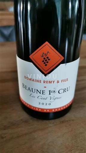 Borgonha Não especificado Premier Cru Domaine Remy & Fils Les Cent Vignes 2020