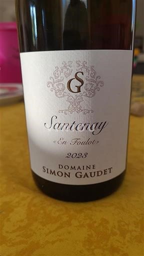 Borgoña Santenay Domaine Simon Gaudet En Foulois 2023