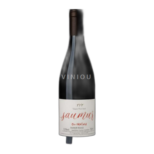 Vin Rouge sec Saumur Rouge Clos de l’Écotard 2022 France Vallée de la Loire Saumur AOC bio