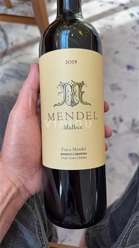 Mendoza Non specificato Mendel Malbec 2019