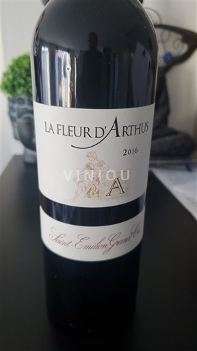 Bordeaux Saint-Émilion Grand Cru Grand Cru La Fleur Arthus 2016