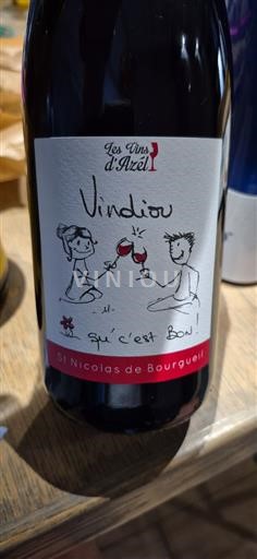 Loire Valley Saint-Nicolas-De-Bourgueil Les Vins Azel Vindinou 2023