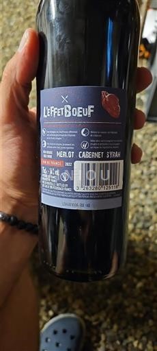 Sydvestfrankrig Côtes de Gascogne Le Fruit du Bœuf 2022