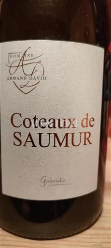 Loire Valley Coteaux-de-Saumur Domaine Armand David Gabrielle Non-Vintage