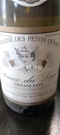 Údolí Loiry Coteaux-du-Layon Domaine Des Petits Quarts Village Faye Neročník