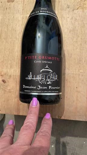 Borgoña Marsannay Domaine Jean Fournier P'tite Grumotte 2019