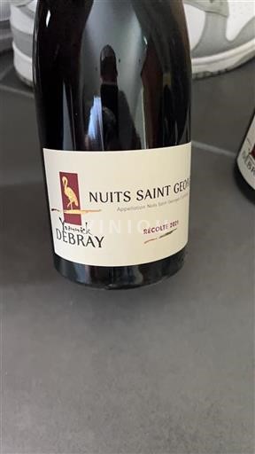 Borgogna Nuits-Saint-Georges Yvonick Debray 2021