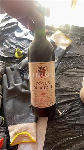 Zuidwest-Frankrijk Niet gespecificeerd Vignerons Réunis des Côtes de Buzet 1981