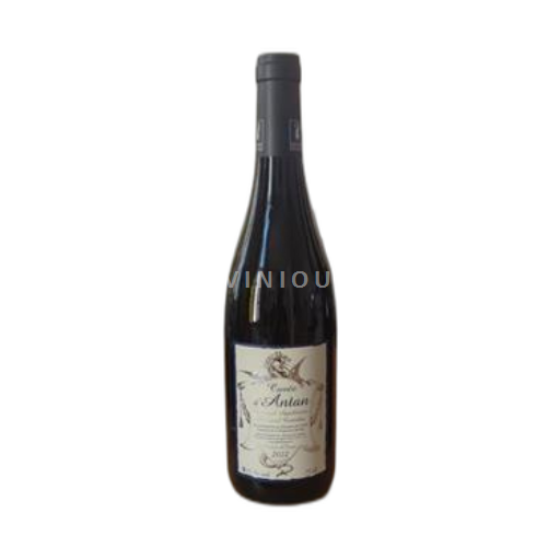 Valle del Loira Bourgueil Domaine La Chopinière du Roy d'Antan 2022