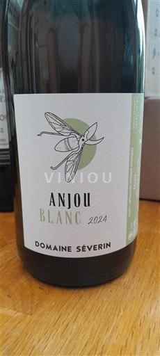 Loire Valley Anjou Domaine Séverin 2024