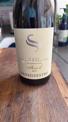 Piemonte Gavi Sansilvestro Fossili 2023