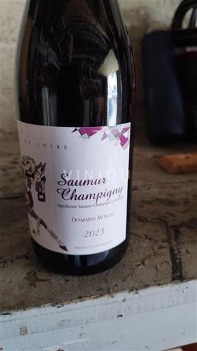 Valle del Loira Saumur-Champigny Domaine Mollay 2023