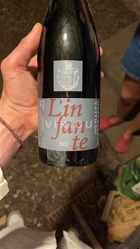 Provence Côtes-de-provence Domaine Ruffinato L'infante 2022