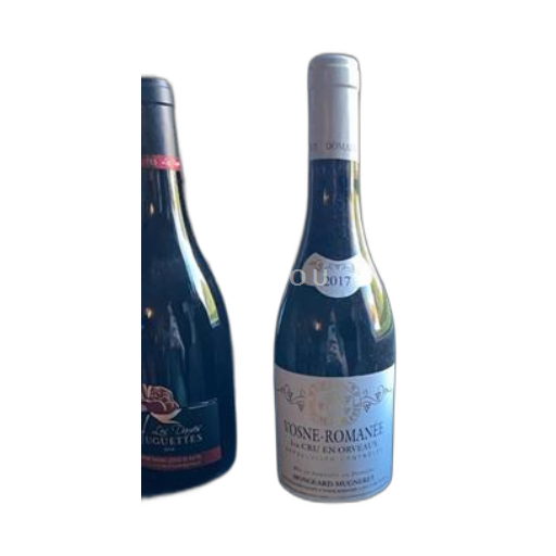 Burgund Vosne-Romanée Premier Cru Mongeard-Mugneret 1er Cru En Orveaux 2017