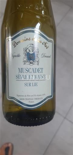 Loiredalen Muscadet-Sèvre-et-Maine Domaine La Noë 2024