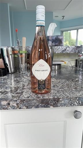 Trentin-Haut-Adige Cantina Lavis 2024