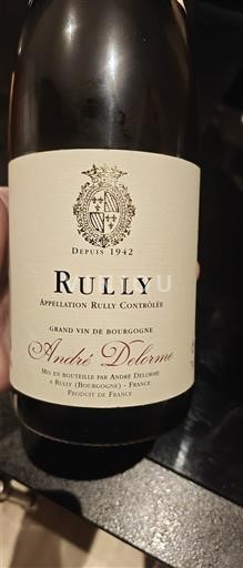 Bourgogne Rully Premier Cru André Delorme Non Millésimé