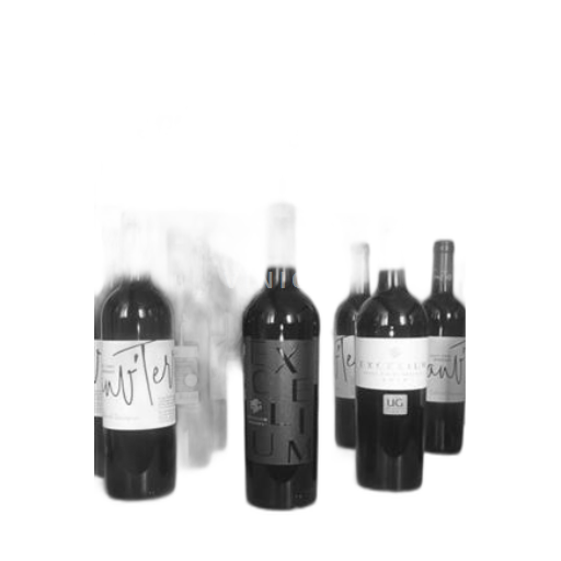 Vin Rouge sec Excelium Réserve BSG 2022 France Bordeaux Bordeaux supérieur AOC