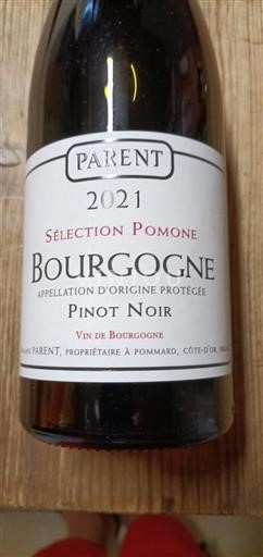 Burgund Parent Sélection Pomone 2021