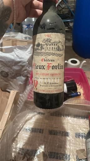 Bordeaux Saint-Émilion Grand Cru Château Vieux Fortin 1981