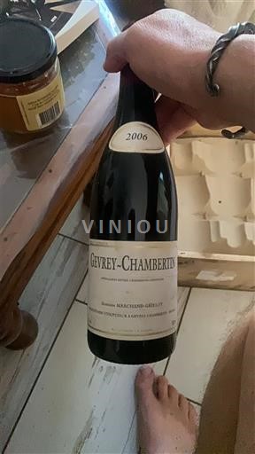 Borgoña Gevrey-Chambertin Premier Cru Domaine Marchand-Grillot 2006