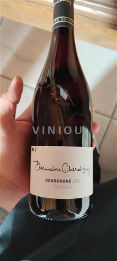 Bourgogne Domaine Chardigny 2024
