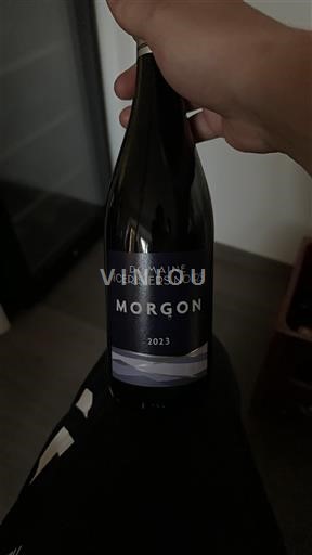 Beaujolais Morgon Domaine Des Cerisiers Noirs 2023