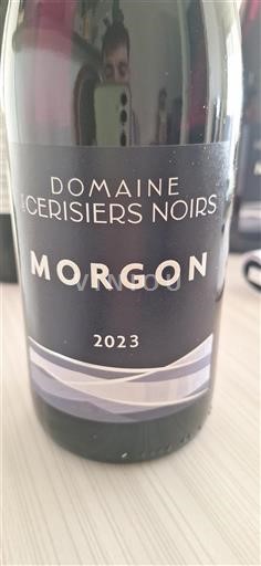 Beaujolais Morgon Domaine Des Cerisiers Noirs 2023