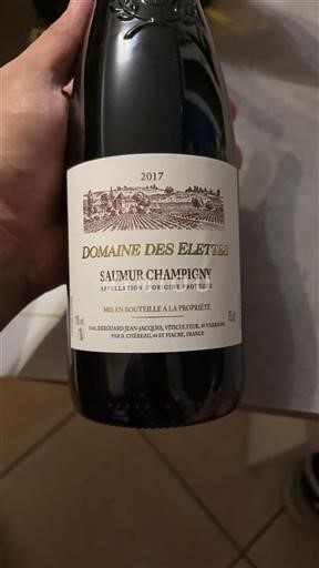 Valle del Loira Saumur-Champigny Domaine Des Elettes 2017