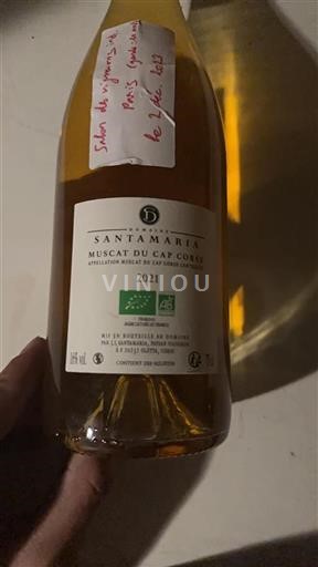 Korsika Muscat du Cap Corse Domaine S Santamaria 2021