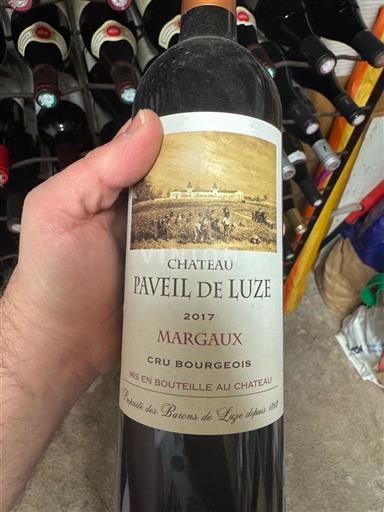 Wines Rouge sec Château Paveil de Luze 2017 France Bordeaux Margaux AOC
