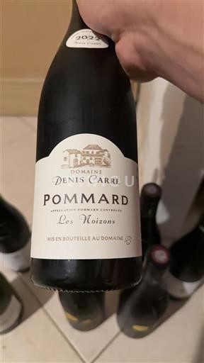 Bourgogne Pommard Domaine Denis Carré Les Noizons 2022