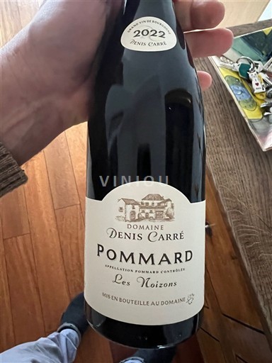 Borgonha Pommard Domaine Denis Carré Les Noizons 2022