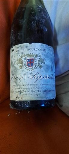 Borgogna Mâcon e Mâcon-Villages Cave des Vignerons de Mancey Senza annata