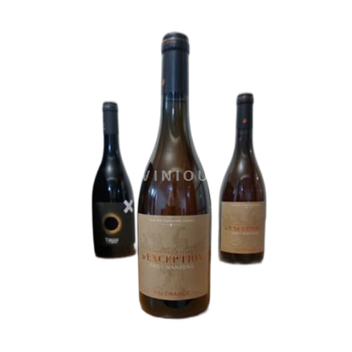 Tây Nam Côtes de Gascogne Cave des Vignerons Landais Terroirs & Cépages d'Exception Không niên vụ