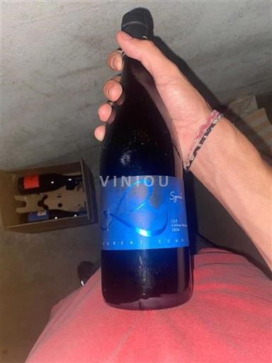 Alpi e Paesi Rodaniani Collines Rodanesi Laurent Combier Syrah 2024