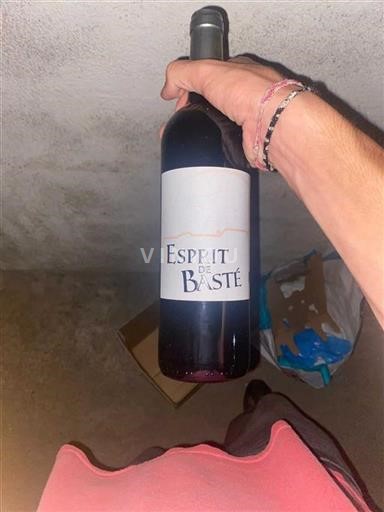 Zuidwest-Frankrijk Niet gespecificeerd Basté Esprit Niet-geïntegreerd