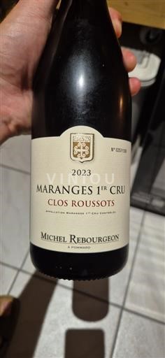 Bourgogne Ikke specificeret Premier Cru Michel Rebourgeon Clos Roussots 2023