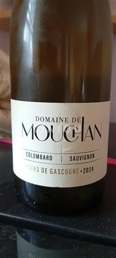 Sydvestfrankrig Côtes de Gascogne Domaine Mougian 2024