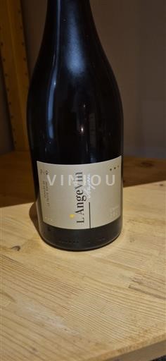 Valle della Loira Anjou Domaine La Petite Étoile L'Angevin 2021