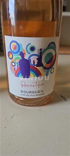 Valle del Loira Bourgueil Lamé Delisle Boucard Romantique 2020