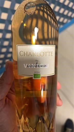 Provenza No especificado La Madrague Charlotte 2024