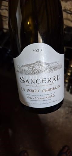 Loiredalen Sancerre Régis et Laurent Godelu La Forêt Gasselin 2023